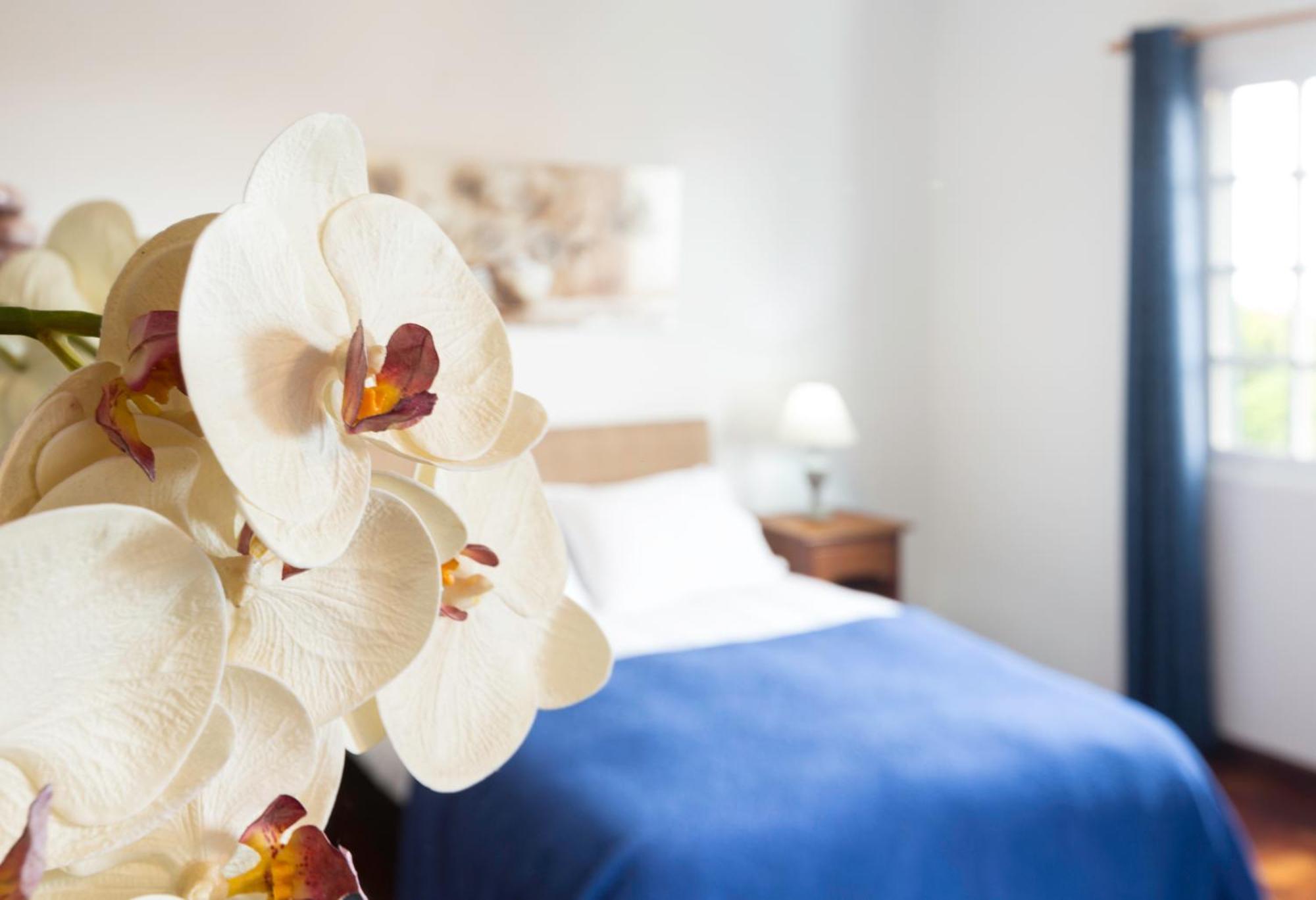 Charming Apartments In Funchal - Sao Goncalo Holiday home Funchal (Madeira)